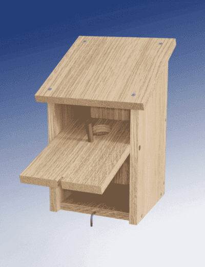 Ross Birdhouse 1