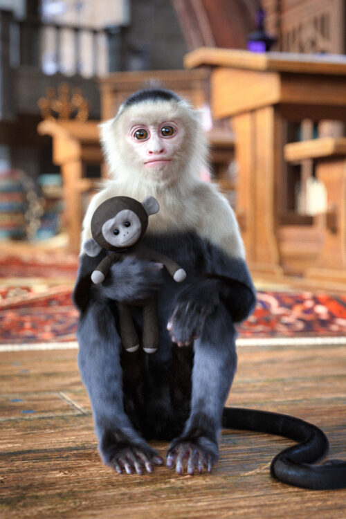Chocos the Monkey for Genesis 9
