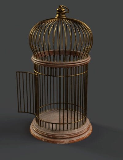Birdcage