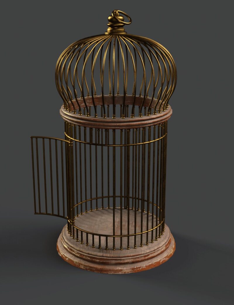 Birdcage - Image 2