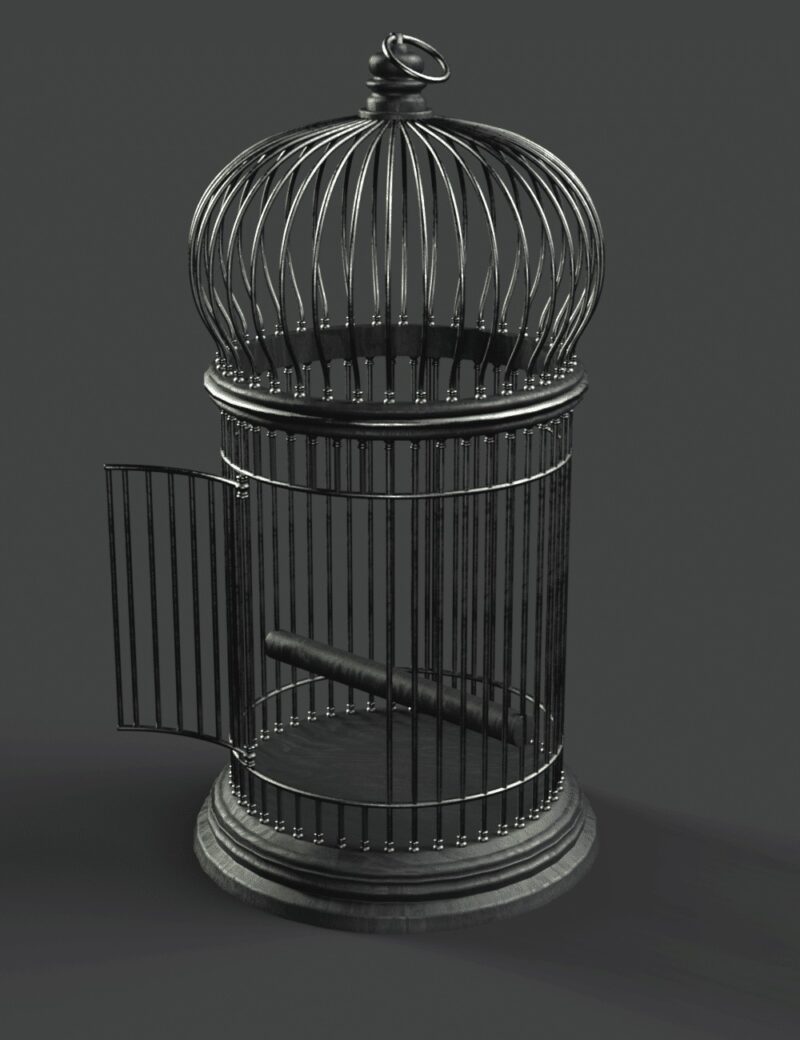 Birdcage - Image 4