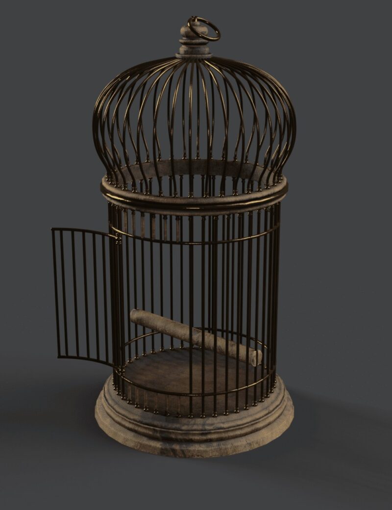 Birdcage - Image 3