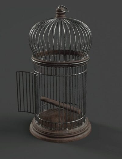 Vintage domed birdcage with open door, wooden perch, hanging ring, and weathered base.