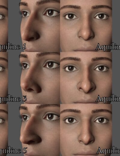 Ethnic Nose Shapes for Genesis 9