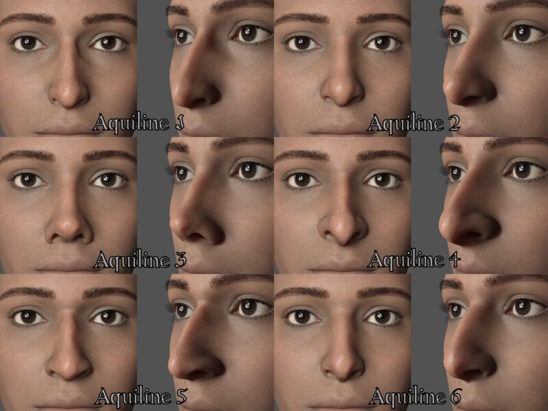 Ethnic Nose Shapes for Genesis 9 - Image 2