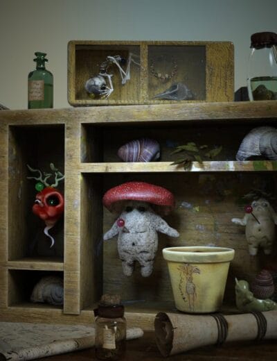Creatur Collect Box