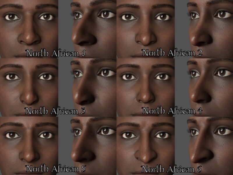 Ethnic Nose Shapes for Genesis 9 - Image 6