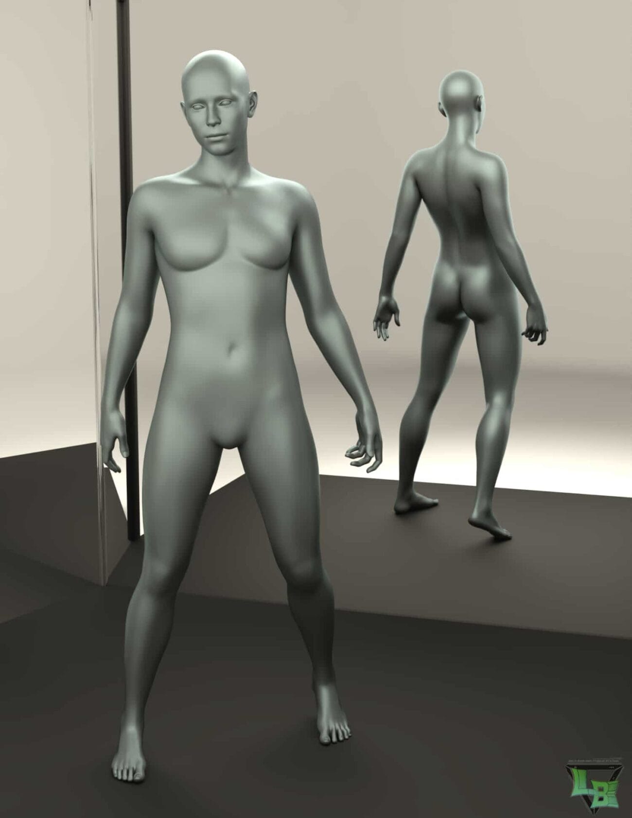 3D female mannequin display for DAZ3D assets, showcasing realistic human body models for digital art, character design, and rendering projects. Perfect for 3D artists and visual designers.