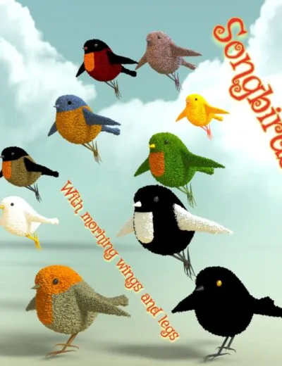 Colorful 3D bird models with textured feathers, perfect for Daz3D scenes and animations. High-quality, realistic bird assets for creative projects and visual storytelling.