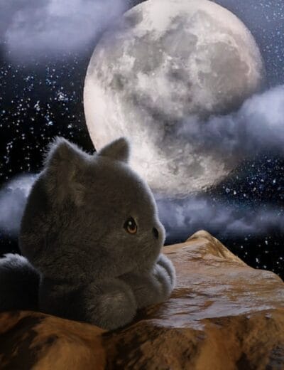 Cute gray kitten looking at the full moon and starry sky from rocky terrain, realistic 3D render, perfect for fantasy or sci-fi themed artworks.
