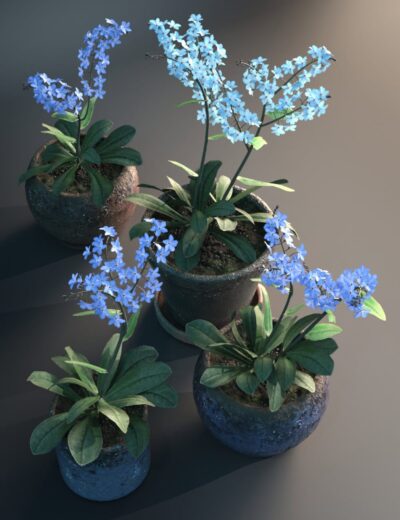 Blue primula flowers in rustic clay pots, 3D floral render for Daz3D assets, realistic plant models for 3D scenes, high-quality botanical assets for digital art and visual projects, detailed and vibrant floral textures.