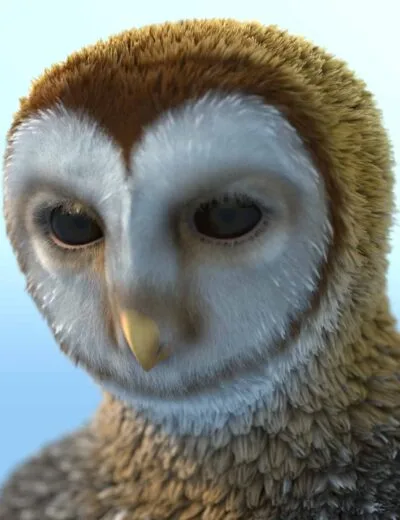 Realistic 3D barn owl close-up, high detail owl model for Daz3D assets, textured feathers, lifelike eyes, wildlife 3D rendering, high-quality owl character for digital art projects.