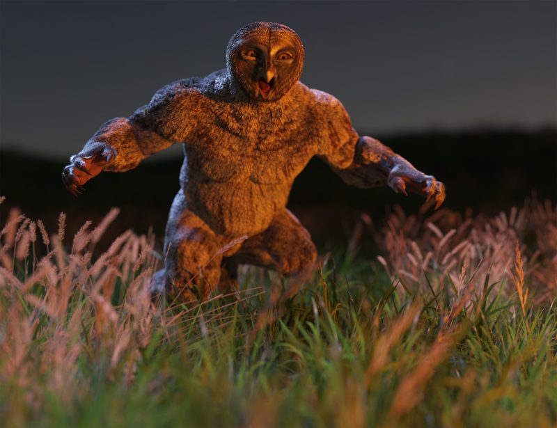 Willbear owlfolk promo 13