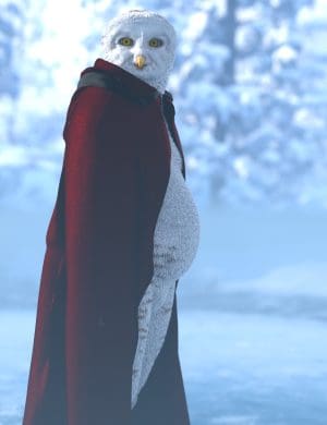 Willbear owlfolk promo 6