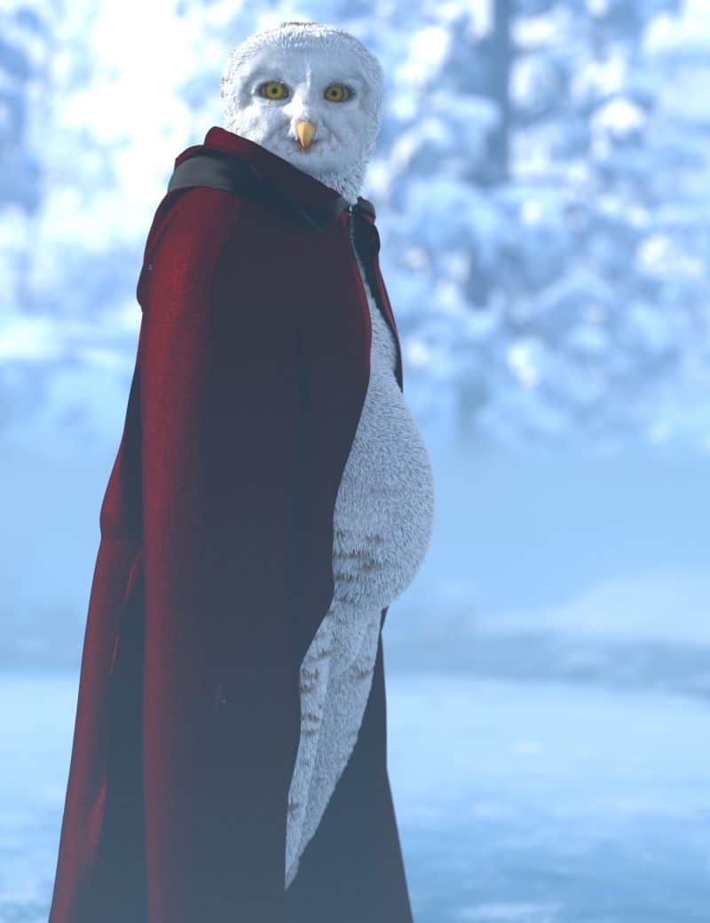 Willbear owlfolk promo 6