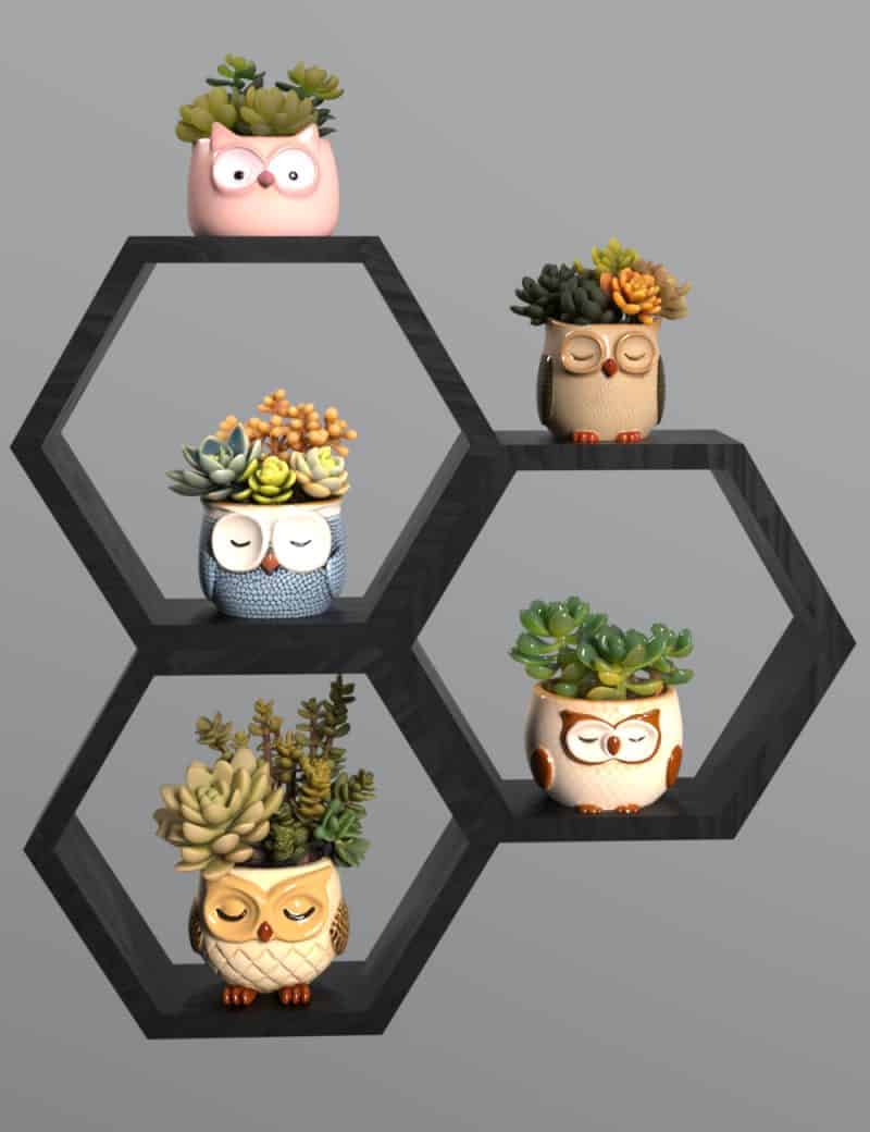 Mainowl