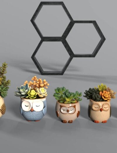 Cute animal-shaped planters with succulents, 3D modeled home decor accessories, perfect for Daz3D assets, showcase colorful pots designed as owls and hedgehogs, ideal for digital renders and illustrations.