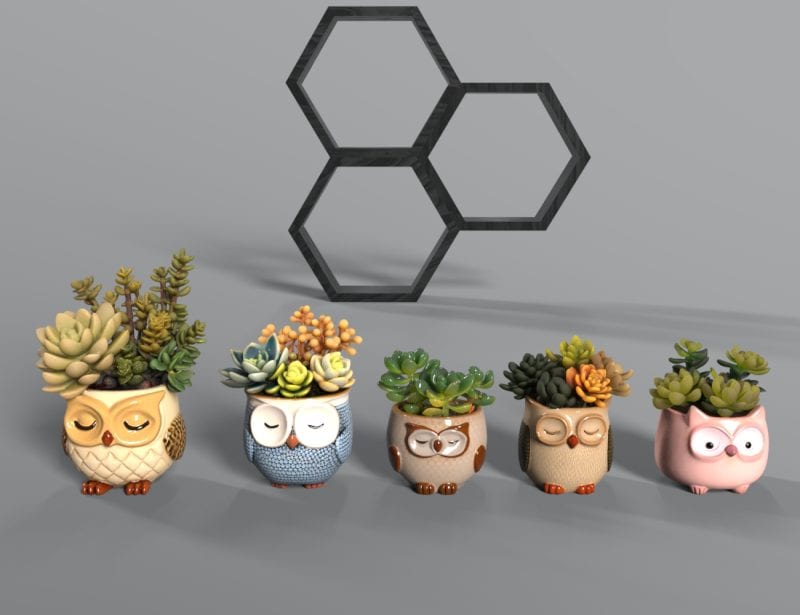 Owlpot2