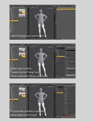 3D SHARDS - High-Quality Daz3D Assets for 3D Modeling with detailed instructions for figure customization and mesh adjustments.