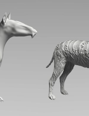3D wolf model rendered for Daz3D assets, showcasing high-quality detailed textures and realistic anatomy for use in creative projects and 3D artwork.