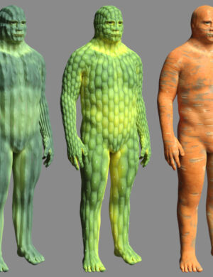 Willbear cactusfolk promo 3