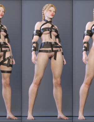 AS MS Bundle popup04