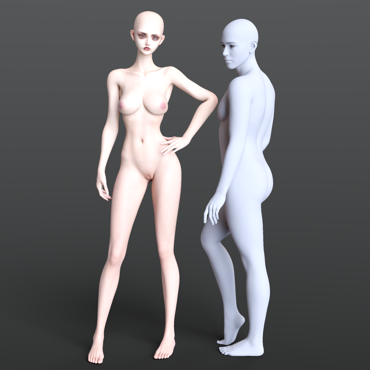 3D digital models of male and female human figures highlighting anatomy and body proportions.