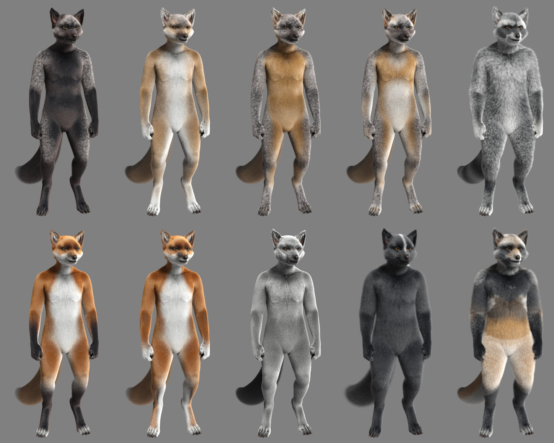 Collection of realistic anthropomorphic fox characters with diverse fur patterns for 3D art and animation.