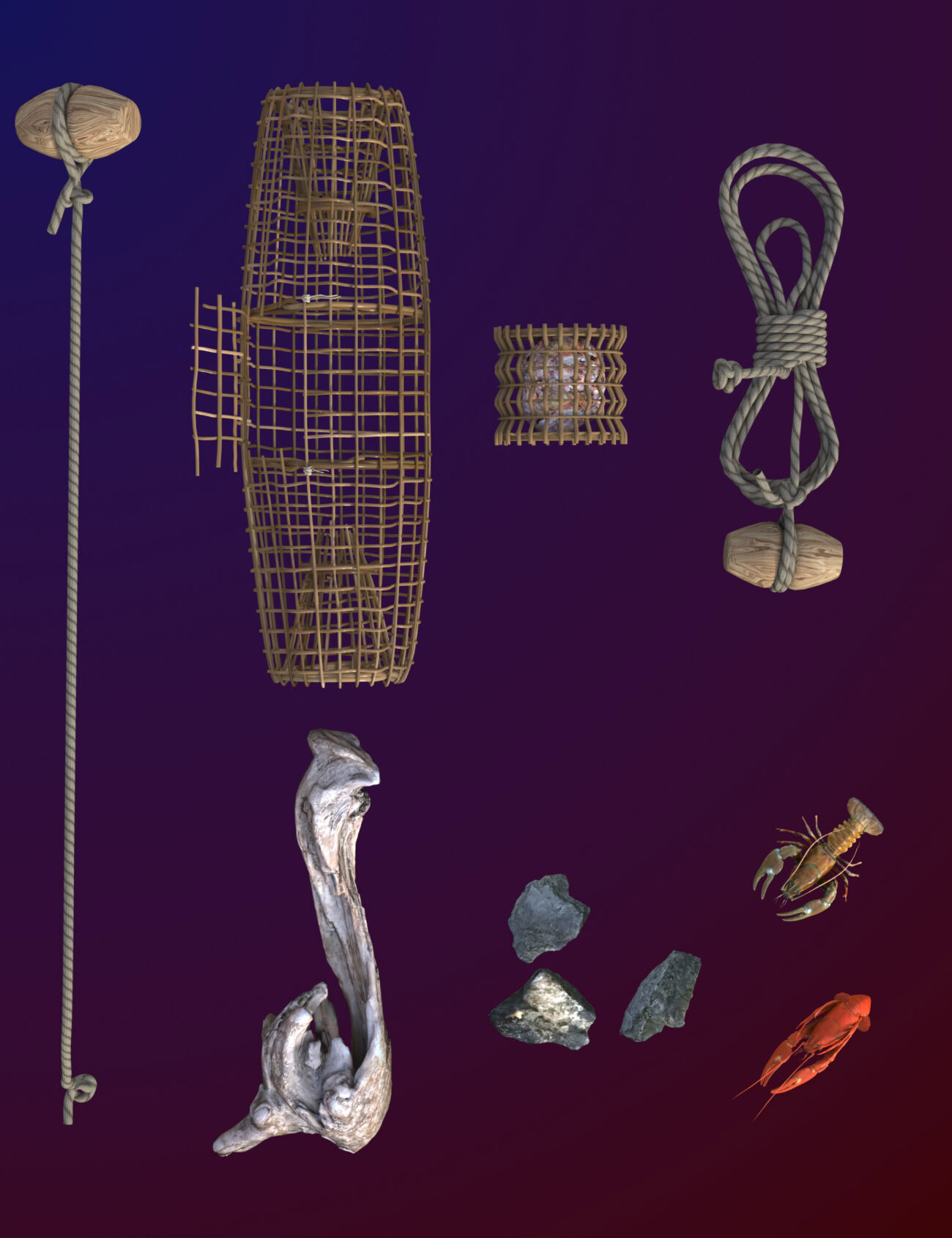 GCJ Crayfish - Image 5